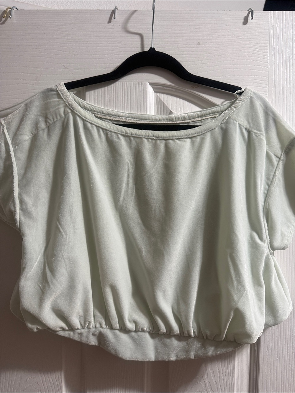 We The Free Velvet Pale Mint Crop Top